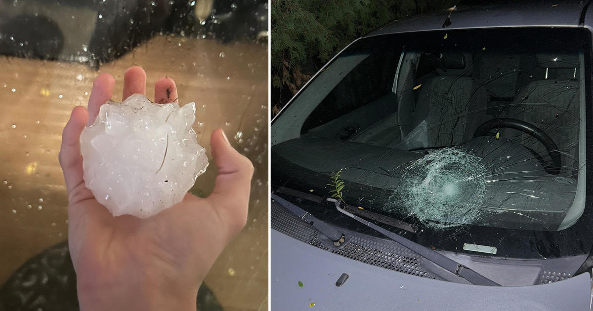 Photos show downed Twin Cities trees after overnight storms, large hail in other parts of Minnesota