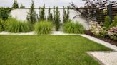 'So much neater' - 10 lawn edging ideas to add a professional finish to your backyard