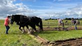 A short history of the Ploughing