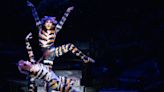 Here's how the makeup and wigs on 'Cats' make the iconic musical look up to scratch