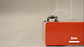 Mini explosions give this little robot a big bounce