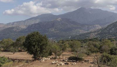 Greece imposes new restrictions to combat 'goat plague'