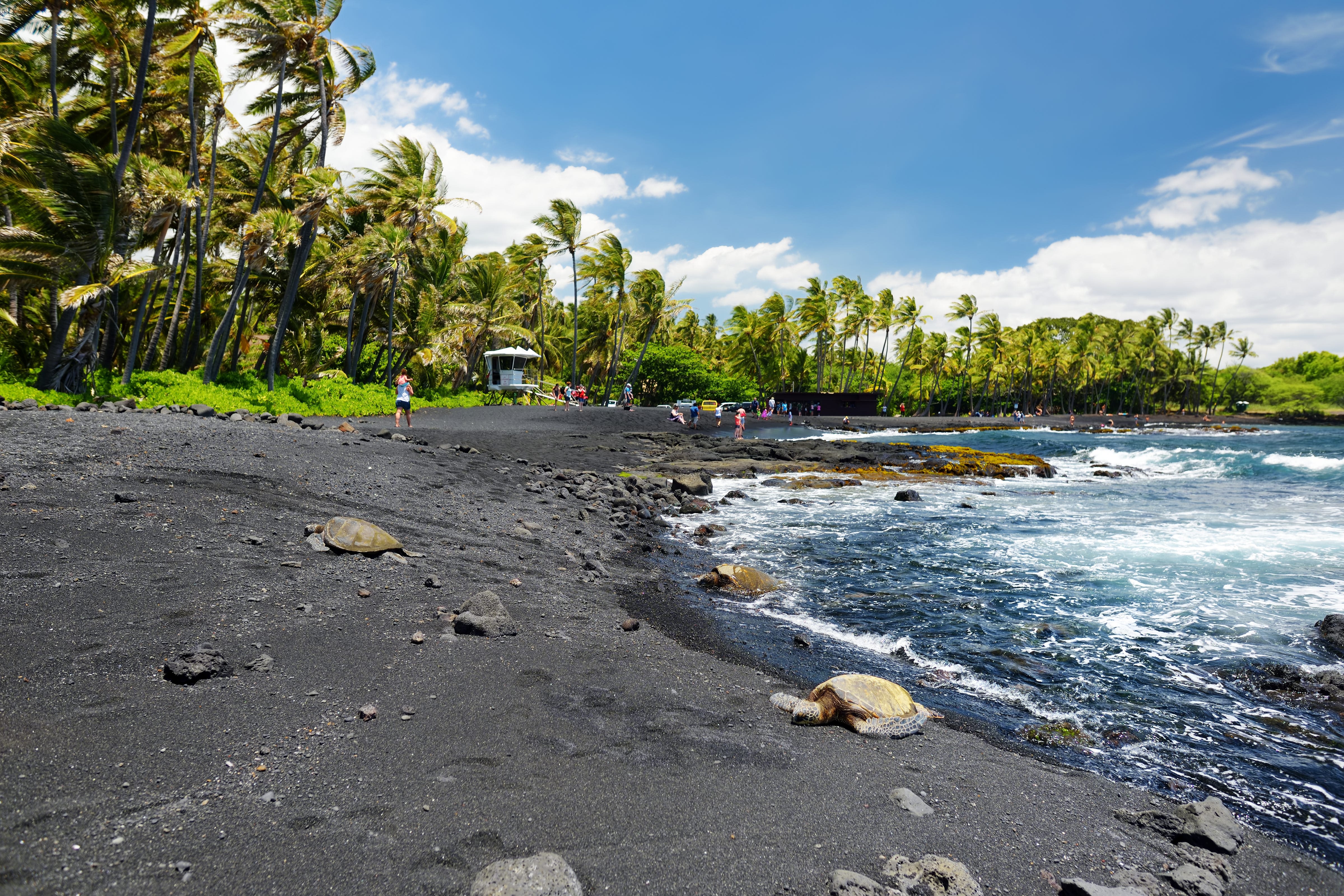 Hawaii's famous black sand beach could become a resort area