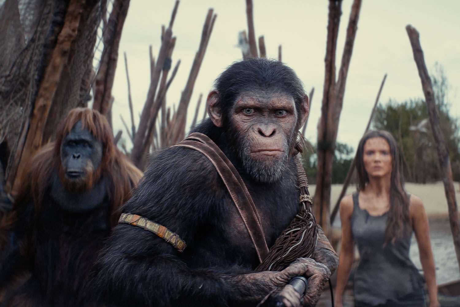 'Kingdom of the Planet of the Apes' Sets At-Home Release Date, Including an Epic New Alternative Cut (Exclusive)