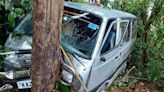 Kadaba: Omni crashes into tree after driver loses control