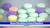 Montana sees 150% more fentanyl seized in early 2024