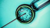 What to know about in vitro fertilization in Texas