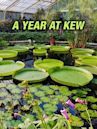 A Year at Kew