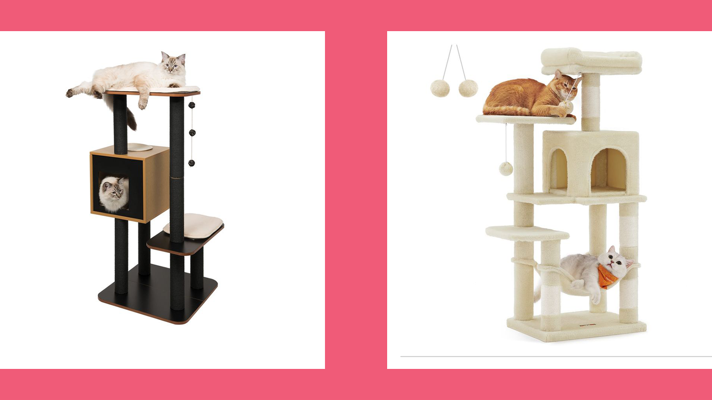 The 10 Best Cat Trees to Keep Your Indoor Kitty Healthy and Happy