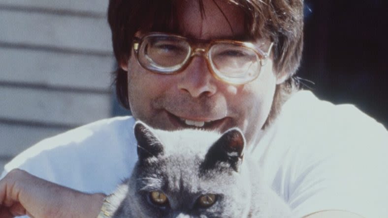 Stephen King Did Not Connect With This Adaptation of His Novel: "I just didn't give a ****"