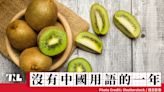 沒有中國用語的一年（2024第22週）：紐西蘭奇異果真的是原產於中國的「獼猴桃」嗎？ - TNL The News Lens 關鍵評論網