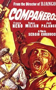 Compañeros (film)