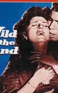 Wild Is the Wind (1957 film)