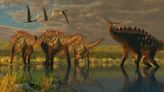 How did birds survive while dinosaurs went extinct?