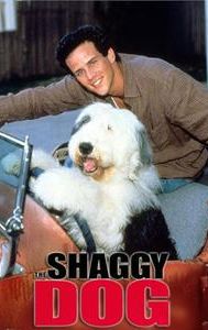 The Shaggy Dog