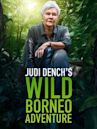 Judi Dench's Wild Borneo Adventure