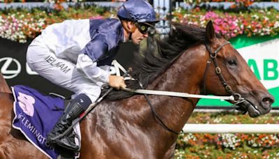 Punters heavily back Melbourne sprinter in the John Hawkes Stakes