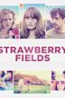 Strawberry Fields