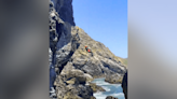 Helicopter unit, fire crews rescue fallen rock climber in Stinson Beach