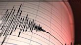 Sismo de magnitud 5,9 se registra en la costa de Chiloé - La Tercera