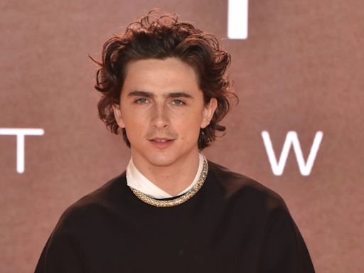 Timothee Chalamet joins Marty Supreme movie