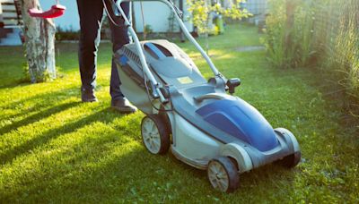 I'm a lawn pro - you're 'stressing' your grass & how to banish pests & weeds