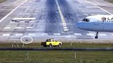 Cachorro invade pista de aeroporto de Guarulhos e paralisa operações