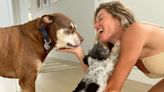 Gisele Bündchen Celebrates First Valentine's Day Since Tom Brady Divorce by Smooching Her Dogs