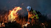 Deliberate fires are responsible for half of the land burned each year