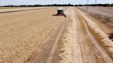 Fact check: Video shows a wheat field fire in Michigan, not Ukraine