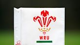 ‘We will get this right’: WRU chair vows to tackle racist, homophobic and sexist bullying