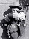 The Round-Up (1920 film)