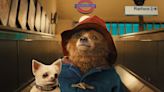 ‘Paddington 3’ Is Definitely Happening: The Threequel Starts Filming in July