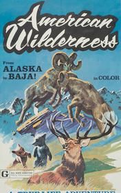 American Wilderness