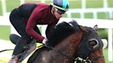 Kentucky Derby: Japanese Duo Post Final Works Tuesday