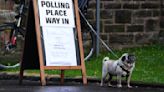 #DogsAtPollingStations: Tierische Wahl in Großbritannien