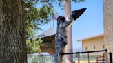 Second statue of Sally Ride, the 1st US woman in space, to be unveiled at Reagan Library