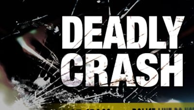 Toledo man killed in Williams Co. crash Wednesday afternoon