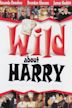 Wild About Harry (2000 film)