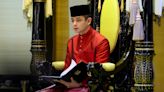‘No wedding in sight’: Pahang crown prince denies marriage rumours, says go watch football instead