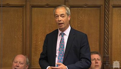Nigel Farage blasts 'little man' Speaker John Bercow in Commons debut