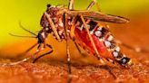Confirma Salud un deceso por dengue