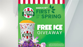 Rita’s Italian Ice giving away free treats on first day of spring