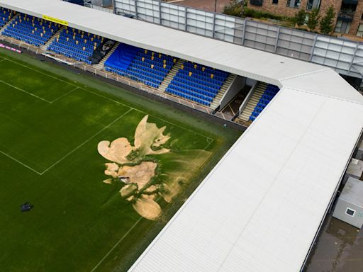 Major Wimbledon pitch damage update as Plough Lane return date remains unknown