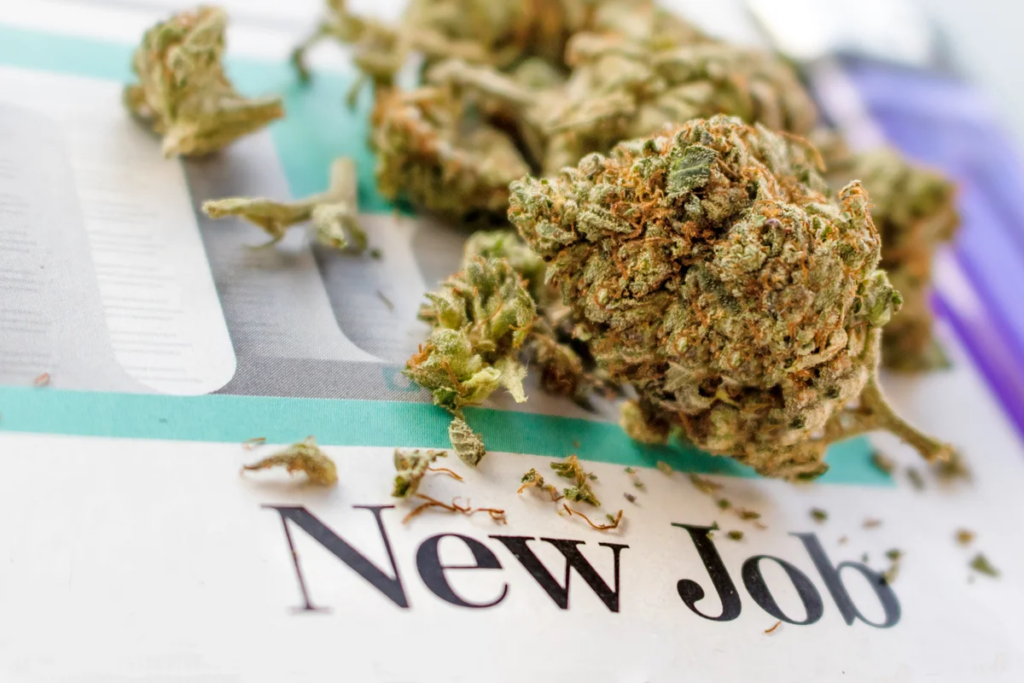 DOOBIE Act Seeks To Overturn Cannabis Use Bias In Federal Jobs