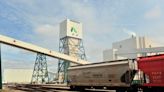 Nutrien to pause potash ramp up, ammonia project on falling prices