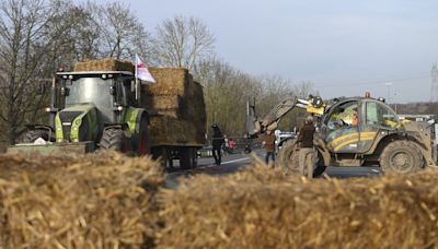 French farmers face losses amid heavy and frequent rainfall