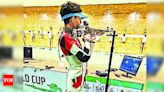 City lad wins gold in state shooting event | Vadodara News - Times of India