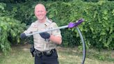 'Slytherin suspect': Snake discovered in Goodwill donation box in Virginia