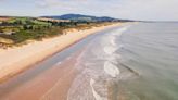 Free events at Brittas Bay to celebrate rich ecology of Wicklow beach